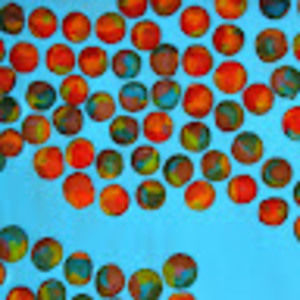 Meet your Posher, Alana